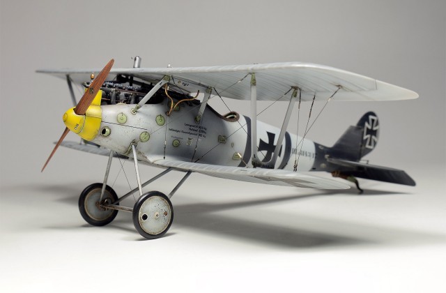 Pfalz D.IIIa by Marcel du Long