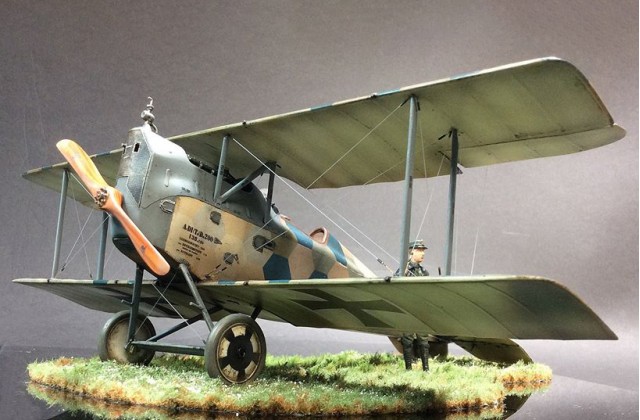 Aviatik 'Berg' D.I by Mike Norris