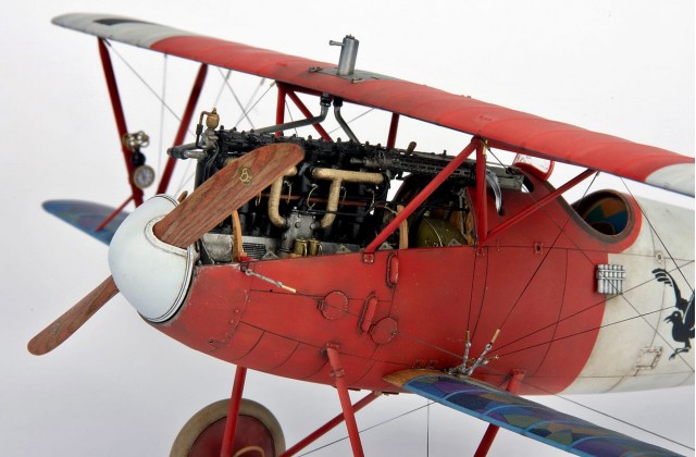 Albatros D.V by Sam Dwyer