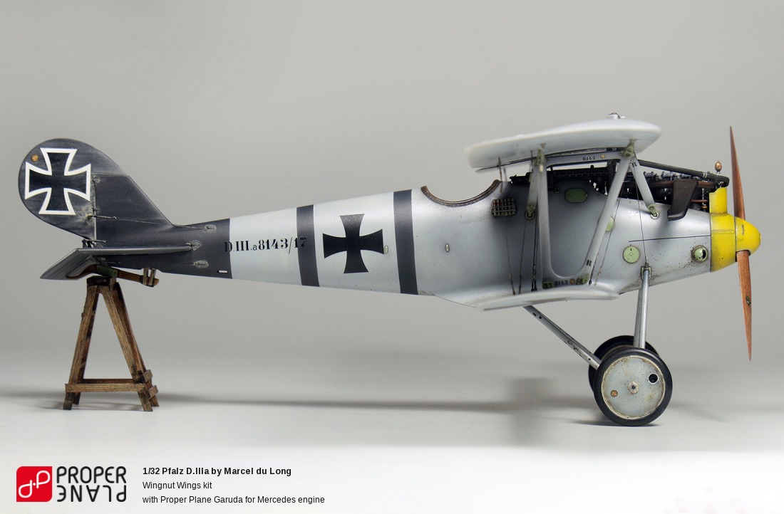 Pfalz D.IIIa by Marcel du Long