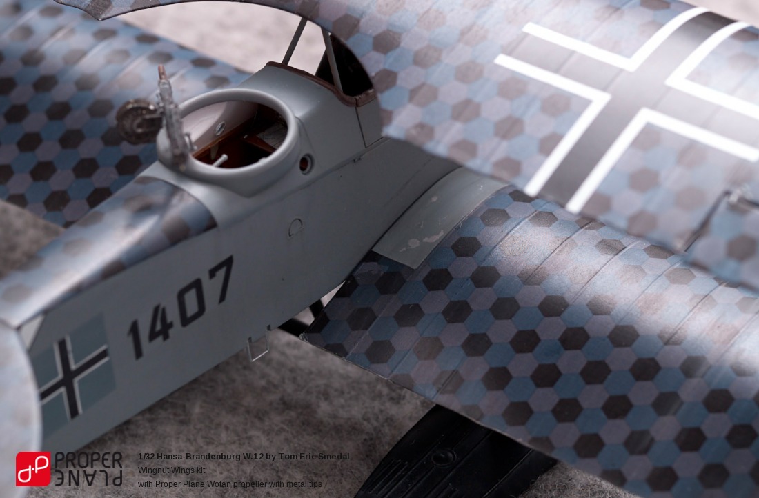 Hansa-Brandenburg W.12 by Tom Eric Smedal
