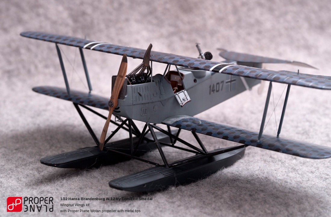 Hansa-Brandenburg W.12 by Tom Eric Smedal