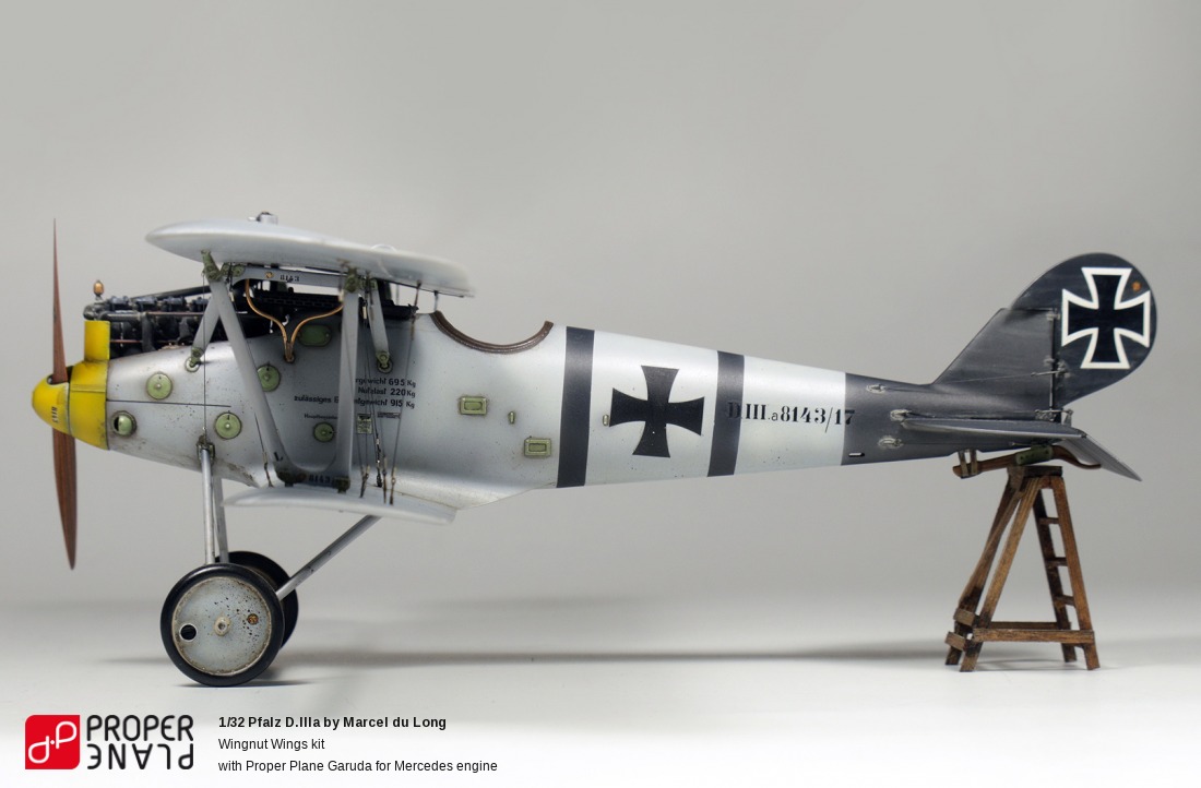 Pfalz D.IIIa by Marcel du Long