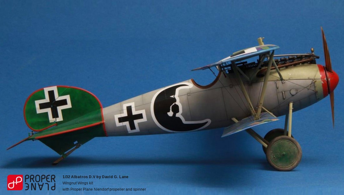 Albatros D.V by David G. Lane