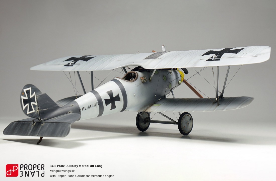 Pfalz D.IIIa by Marcel du Long