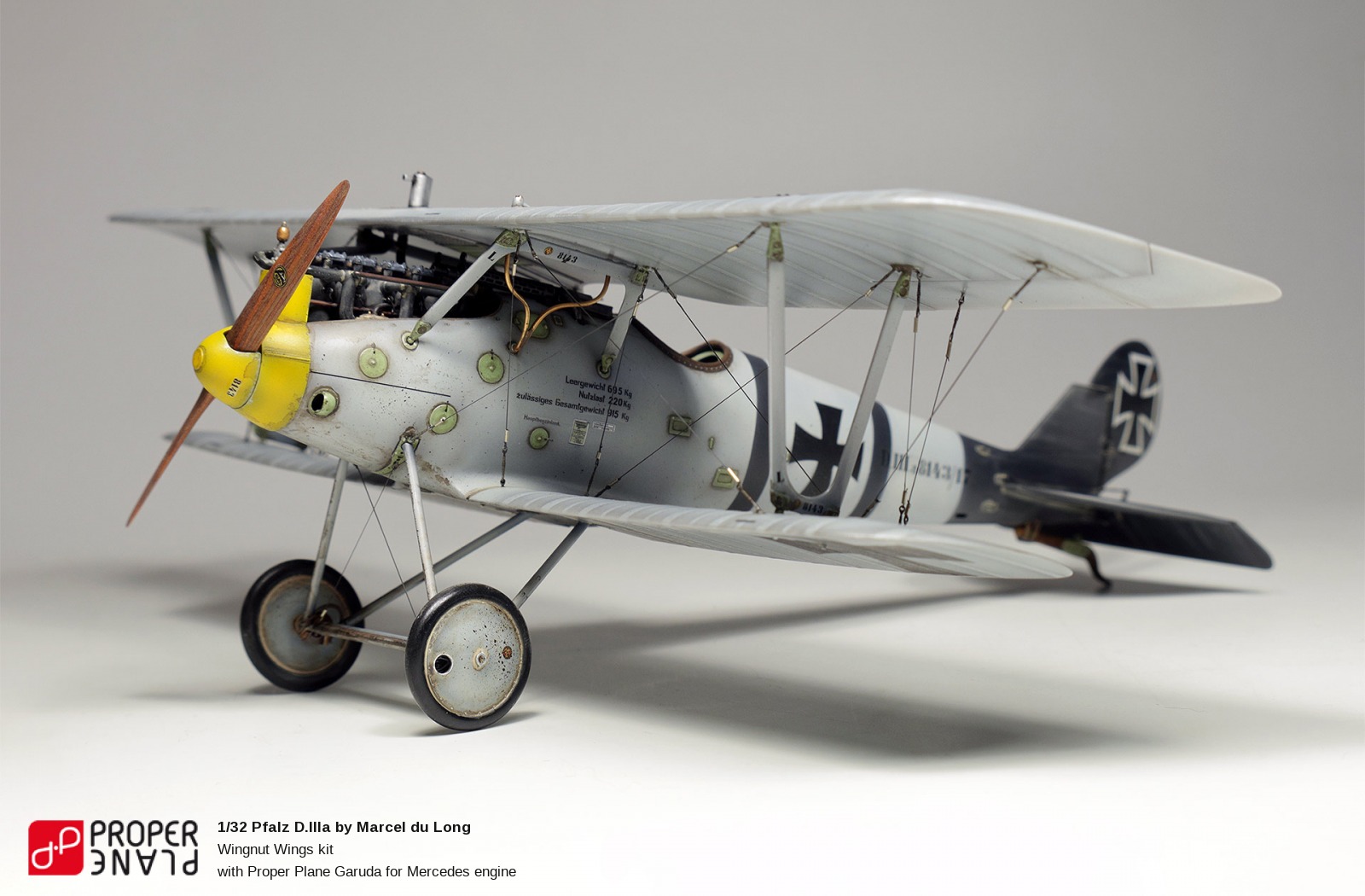 Pfalz D.IIIa by Marcel du Long