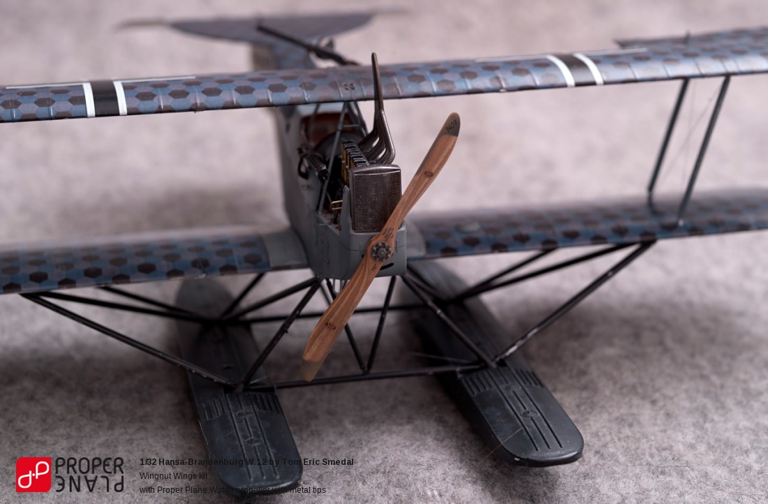 Hansa-Brandenburg W.12 by Tom Eric Smedal
