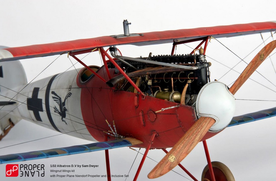 Albatros D.V by Sam Dwyer