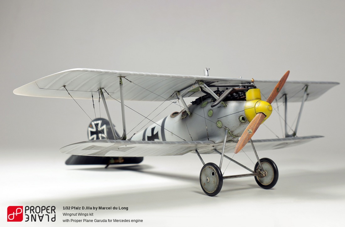 Pfalz D.IIIa by Marcel du Long