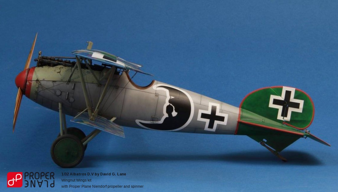Albatros D.V by David G. Lane